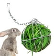 thumbnail image 1 of chaungfeng 1 PC Hay Feeder Ball, Hay Rack Ball, Small Animal Stainless Steel Grass Ball Grass Rack Ball for Rabbit Guinea Pig Hamster Hay Dispenser Hanging Ball Feeder Pet Supplies, 1 of 9