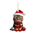 thumbnail image 1 of chaungfeng 2 Pcs Personalized Cat Ornaments for Christmas Tree, Acrylic Shatterproof Christmas Ornaments, Funny Hanging Christmas Decoration for Indoor Home/Party/Mantel, 3.14inch, 1 of 4
