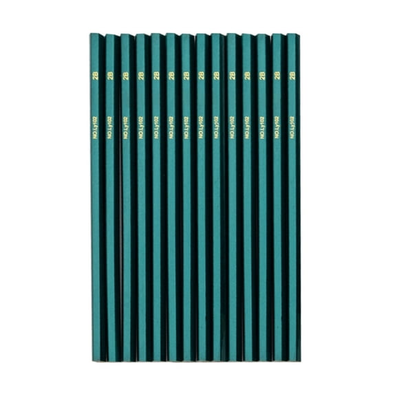 chaungfeng Graphic Sketching Drawing Pencils 12 Count, Pencils Set for Exam and Handwriting Sketching
