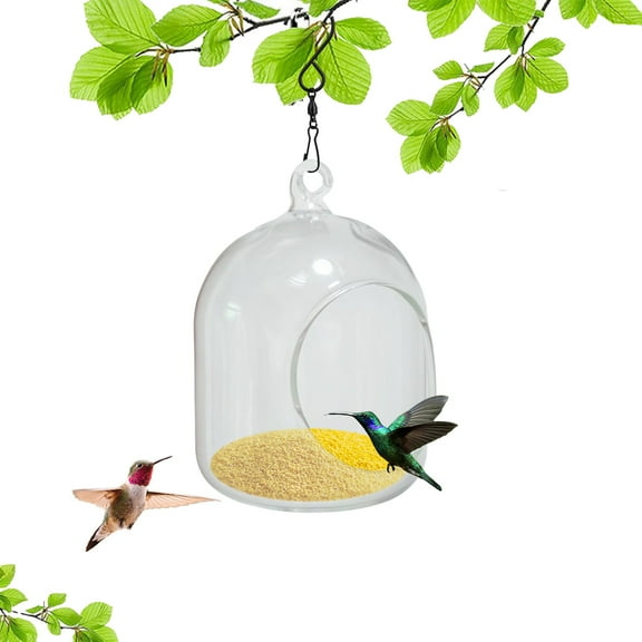 chaungfeng Humming Feeder, Manually Blowing Hummingbird Feeder Plastic