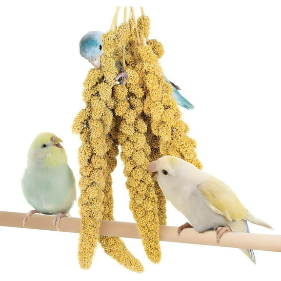 clackibukvyz Spray Millet for Birds, Parakeet Food Millet, Natural Cereals, 1lb
