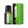 clearance 10ML Eternal Aroma Botanical Water Soluble Oil For Indoor