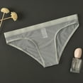 thumbnail image 1 of (clearance Sale)MSJUHEG Thongs Mens Underwear Mens Panties Mens Transparent Underwear Thin Mesh Bagless Pants Boxer Briefs Gray 3xl, 1 of 3