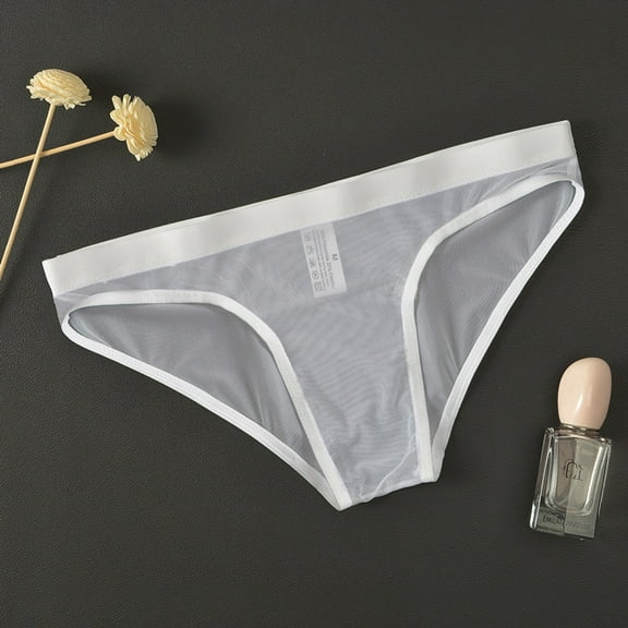 (clearance Sale)MSJUHEG Thongs Mens Underwear Mens Panties Mens Transparent Underwear Thin Mesh Bagless Pants Boxer Briefs White L