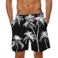 thumbnail image 1 of cllios Tropical Beach Shorts Men Swim Trunks Big and Tall Board Shorts Quick Dry Swimming Shorts Palm Tree Printed Hawaiian Bathing Suits Swimwear Surfing Shorts, 1 of 4