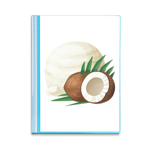coconut ice  popsicles Book Sheet Protectors Portfolio Binder Folder