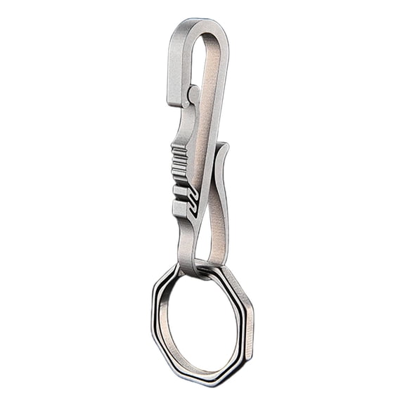 colaxi Carabiner Clip Carabiner Keychain Portable Practical for Hanging Lightweight Spring Snap Hook for Backpack Charms for Camping B