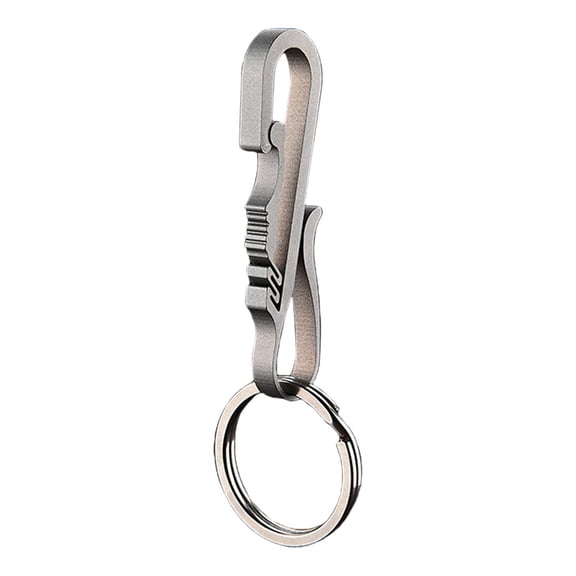 colaxi Carabiner Clip Carabiner Keychain Portable Practical for Hanging Lightweight Spring Snap Hook for Backpack Charms for Camping D