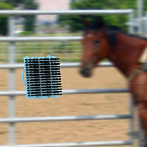 colaxi Horse Grooming Brush Farm Animal Care Tool Easy to Use Portable Easy Installation Grooming Tool Versatile for Cattle Barns Blue