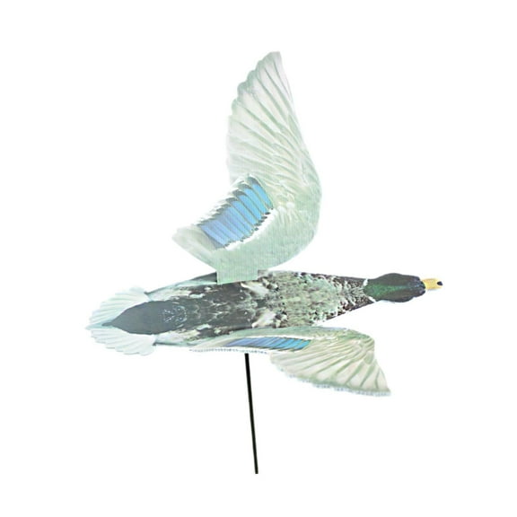 colaxi Outdoor Hunting Duck Decoy Decor Versatile Spread Winged Garden Animal Decoy Male Duck