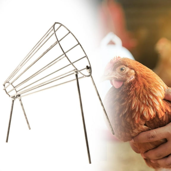 colaxi Restraining Cone Standing Metal for Chicken Broilers Foul Birds L L