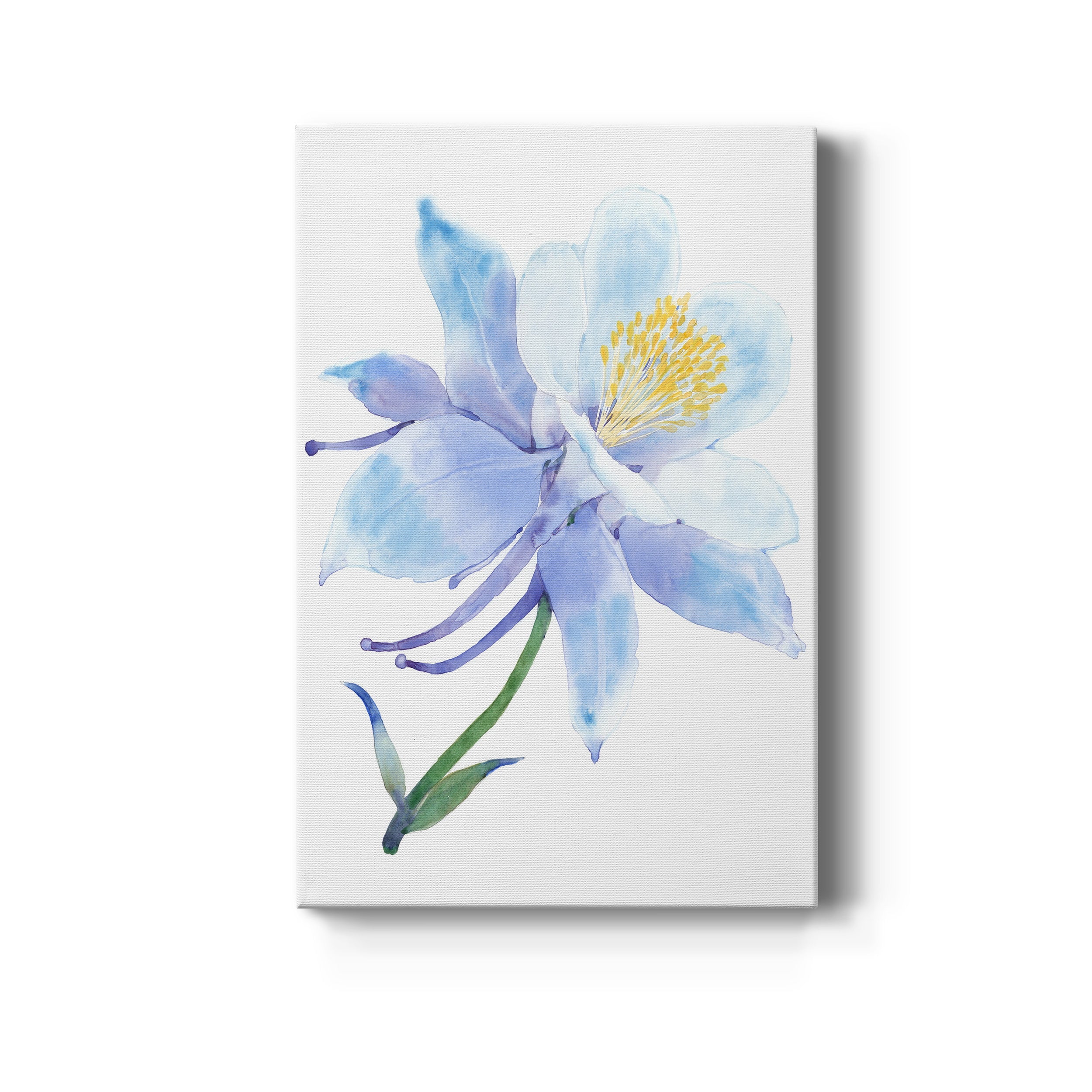 Columbine Bloom I Premium Gallery Wrapped Canvas - Ready to Hang