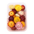 thumbnail image 1 of comerut Dried Flowers Kit Real Natural Flowers Bulk Dried Flower DIY Everlasting Flowers Material for Handmade Jewelry Nails Crafts, 1 of 8