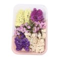 thumbnail image 1 of comerut Dried Flowers Kit Real Natural Flowers Bulk Dried Flower DIY Everlasting Flowers Material for Handmade Jewelry Nails Crafts, 1 of 8