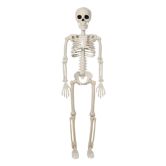 comerut Realistic Movable Joints Skeleton Adjustable Halloween Plastic Skeleton for Graveyard Decor Easy Installation Indoor Outdoor Haunted House Props