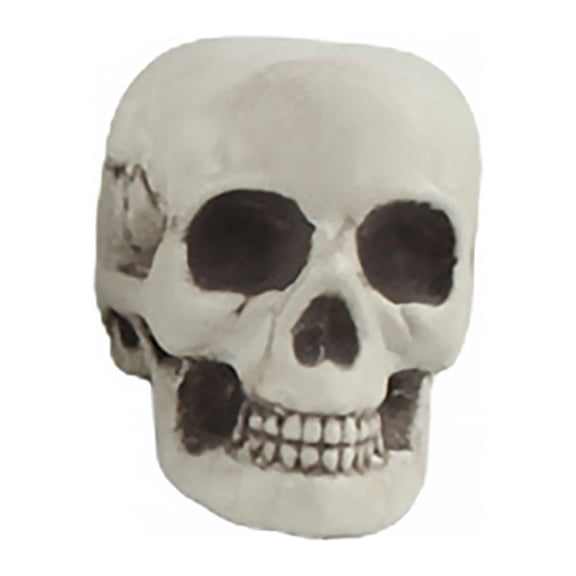 comerut Skull Ornament Creative Delicate Realistic Human Skull Statue Head Bone Model for Party