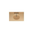 thumbnail image 1 of Swanstone VT1B2249 Ellipse 49" Wide Swanstone Vanity Top - Sink Included, 1 of 3