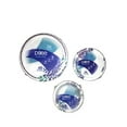 thumbnail image 1 of Dixie Everyday Paper Plate & Bowl Bundle, Large Plate (44 ct), Small Plate (50 ct) and Bowl (38 ct), 1 of 3
