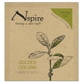 thumbnail image 1 of NUMI Organic Tea 73004 Nspire By Numi Tea, Golden Oolong, 0.85 Oz Sachet, 50/box, 1 of 2
