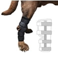 thumbnail image 1 of Labra Supportive Dog Rear Leg Hock Joint Wrap Brace with Metal Springs Protects Canine Wounds as They Heal Compression Brace Heals and Prevents Injuries and Sprains Helps Arthritis (Large), 1 of 7