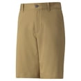 thumbnail image 1 of Puma Boys Stretch Short Antique Bronze Shorts Junior XL, 1 of 2
