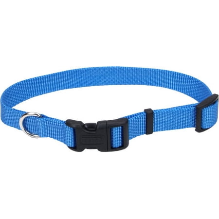 Coastal Pet Collar