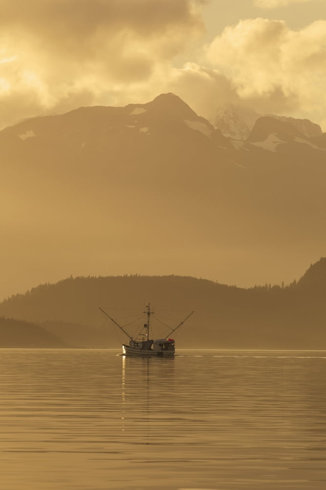 A commercial fishing vessel long line heads south in Lynn Canal near Juneau Alaska Chilkat Mountains beyond Canvas Art - John Hyde Design Pics (12 x 19)