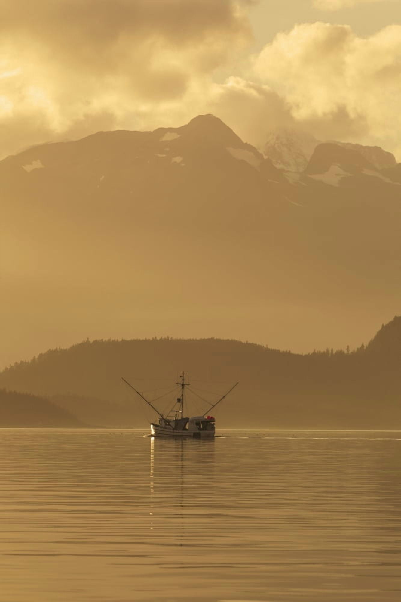 A commercial fishing vessel long line heads south in Lynn Canal near Juneau Alaska Chilkat Mountains beyond Canvas Art - John Hyde Design Pics (24 x 38)