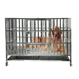 Stainless Steel Dog Crate