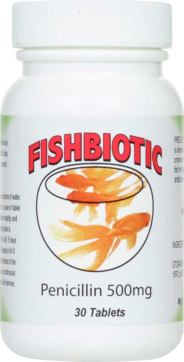 control common bacterial infections in fish for aquarium use Fish