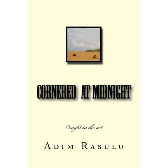 cornered at midnight (Paperback)