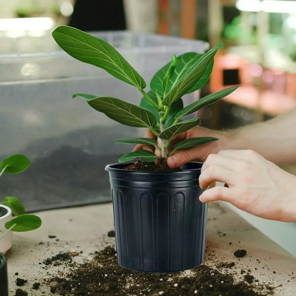 cpengpj 20Pcs Plastic Seedling Pots with Drainage Holes - Reusable Black Nursery Pots for Indoor Outdoor Flower Cactus Sowing