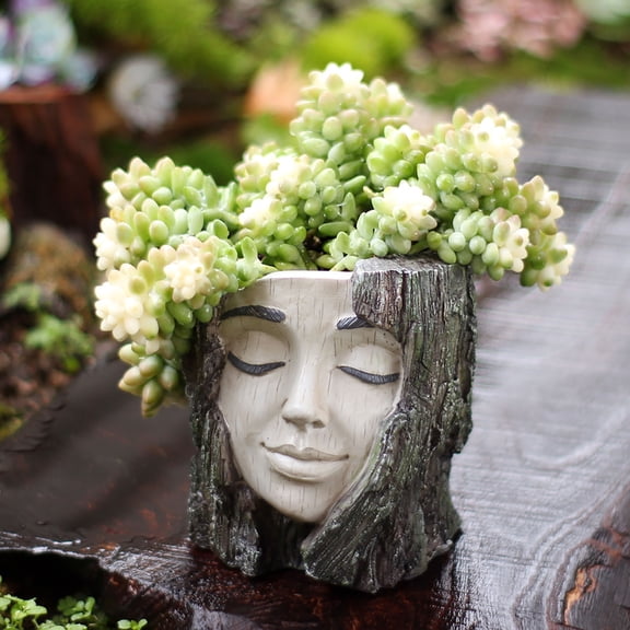 cpengpj Sculpted Face Design Flower Pot 1-Pack,Weather-Resistant Resin Handcrafted,for Patio Balcony Green Greenery Display