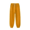 thumbnail image 1 of ctdiral Women's Plus Size Sweatpants Elastic Waist Loose Fit Lightweight Drawstring Trousers Fall Winter Thin Fleece Lounge Pants with Pockets Tapered Pants Orange XXXXL, 1 of 4