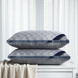 Beautyrest Silver Luxurious Spa Comfort Bed Pillow Standard Walmart