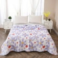 thumbnail image 1 of cvlncycling Washed Cotton Summer Quilt ,Cool And Comfortable Double Sided Cold Effect Fiber Blanket,Quilt Set Queen Size ,For All Season Washable, 1 of 3