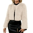 thumbnail image 1 of dGslk Women's Winter Fashion Casual Short Round Collarless Ladies Faux Fr Plush Coat Beige L, 1 of 2