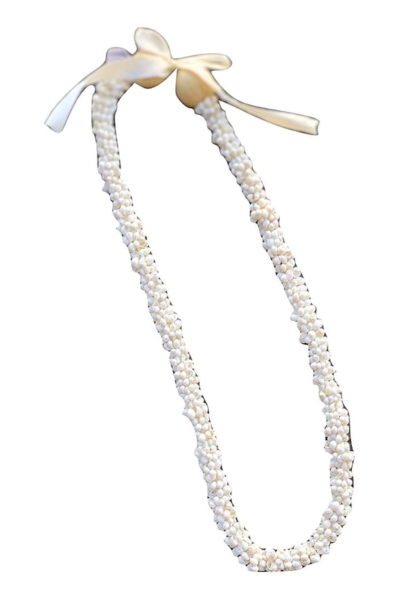 Hawaiian Store Mongo Shell Lei Necklace (Choose Color & Length)