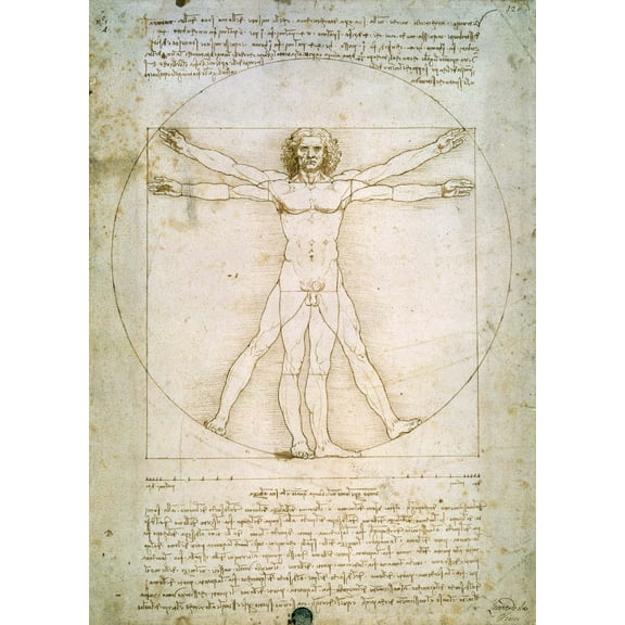 da Vinci "The Proportions of the Human Figure" (1492) Glossy Poster