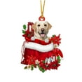 thumbnail image 1 of dajkiuy Dog Ornament, Dog Christmas Ornament Gift for Lover Dog, Cute Dog in Pocket Christmas Ornament Acrylic Ornament, 1 of 4
