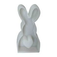 thumbnail image 1 of dajkiuy Easter Bunny Chocolate Molds Set, 3D Cute Easter Bunny Silicone Mold for Baking Easter Treats Chocolate, Cake, Jelly, Fudge, Pudding (2.4x5.3 inch), 1 of 4