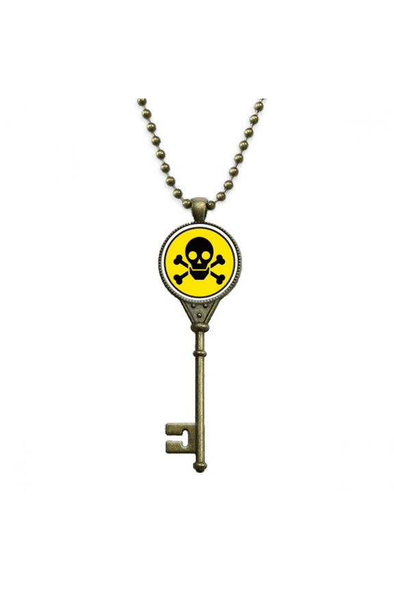 danger checal toxic skull symbol key necklace pendant tray embellished chain