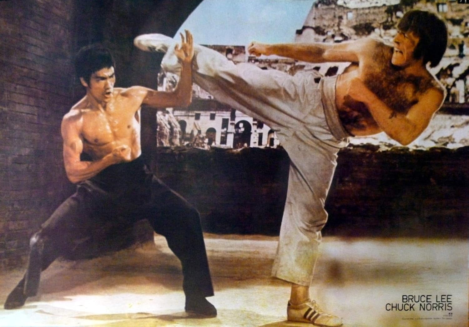 dashuaibiChuck Norris and Asian Martial Arts Legends Poster Fighting(05)