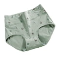 thumbnail image 1 of dazeni Leak Proof Period Underwear for Women Breathable Menstrual Period Panties Seamless Full Coverage Underwear High Waisted No Show Briefs Panties, 1 of 4