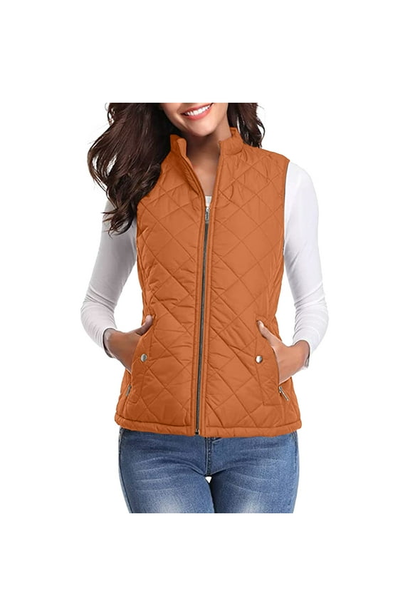 Women's Puffer Vest Zip Up Stand Callor Warm Vest Sleeveless Jackets Coats with Pockets Fashion Outerwear Slim Fit Vest
