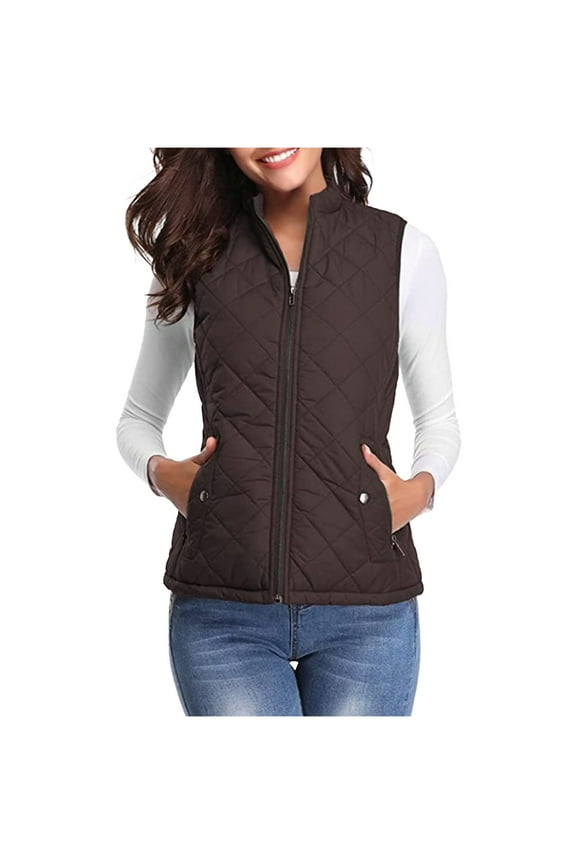 Women's Puffer Vest Zip Up Stand Callor Warm Vest Sleeveless Jackets Coats with Pockets Fashion Outerwear Slim Fit Vest