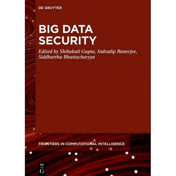 de Gruyter Frontiers in Computational In Big Data Security, Book 3, (Hardcover)