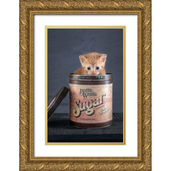 de Jong, Arendina 17x24 Gold Ornate Wood Framed with Double Matting Museum Art Print Titled - Chip