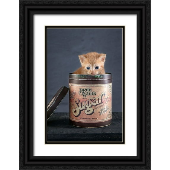 de Jong, Arendina 23x32 Black Ornate Wood Framed with Double Matting Museum Art Print Titled - Chip
