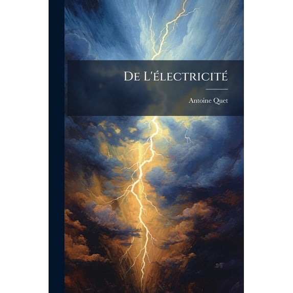 De L'électricité : Du Magnétisme Et De La Capillarité (Paperback)